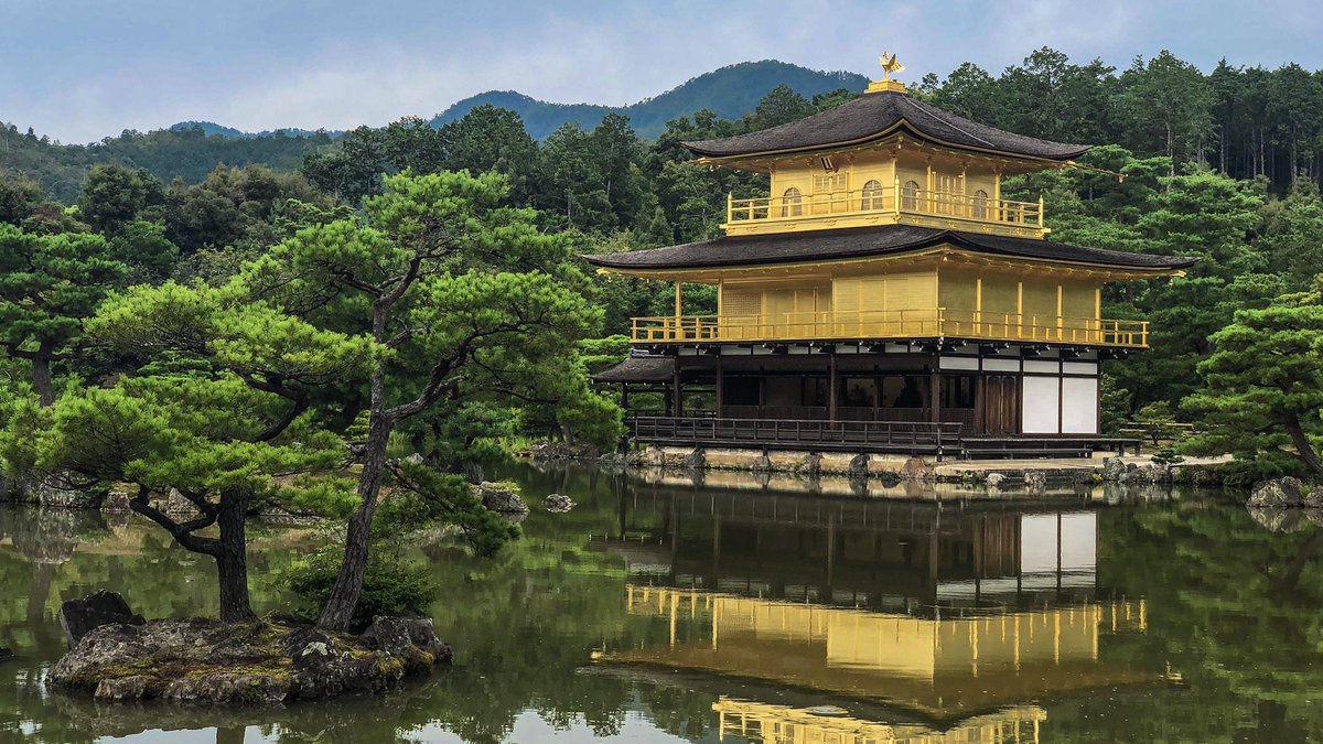 Says Fuck it tweet media