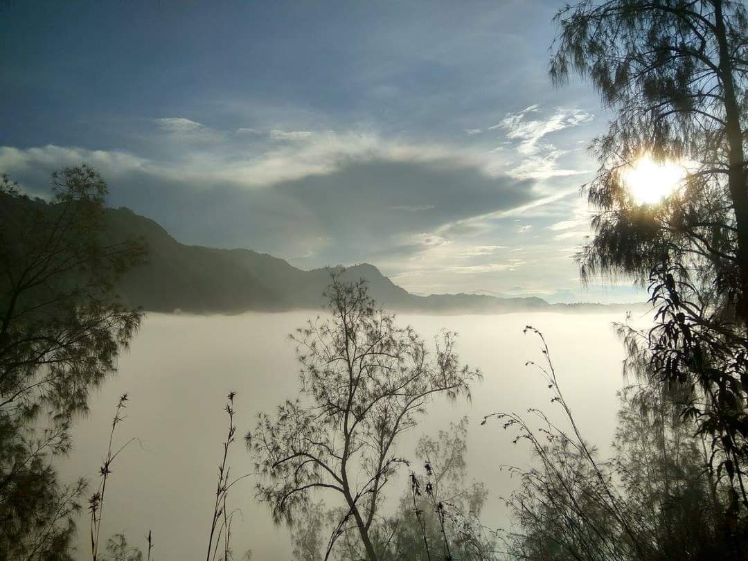 owiiwo's tweet image. #shotbyphone #redminote3pro