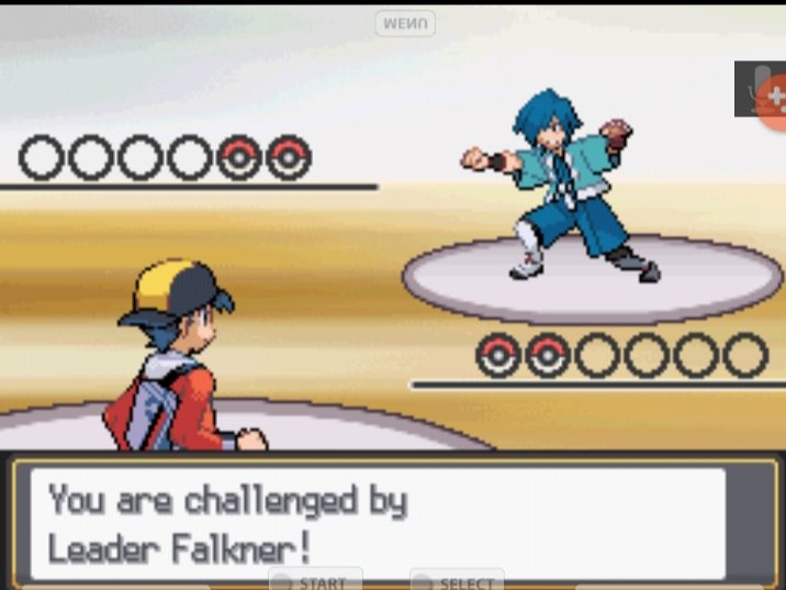 Time to fight:Falkner of Violet CityIt...it was a short fight.Chomp single handedly clipped his teams wings.She's a mean gator, I'm tellin ya.