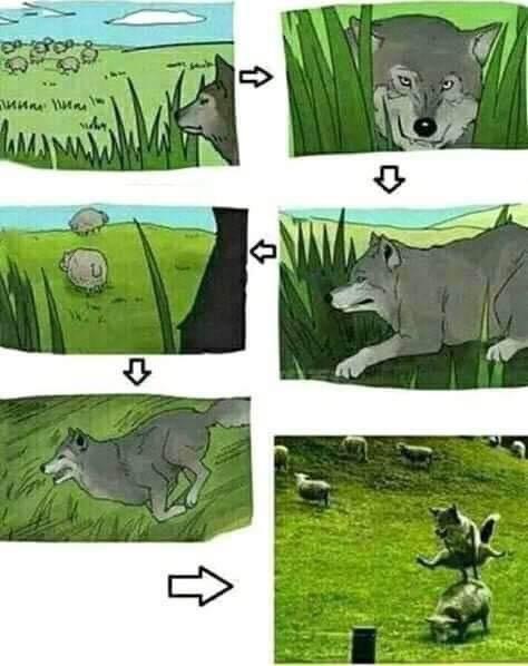 ordure tweet media
