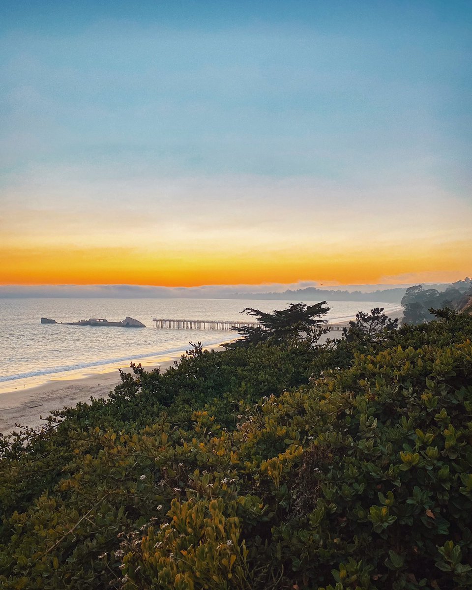 Check out that fog bank 🌫🌊🌅⁣
⁣
#aptos #seacliff #santacruz #sunset #cementship #sspaloalto
