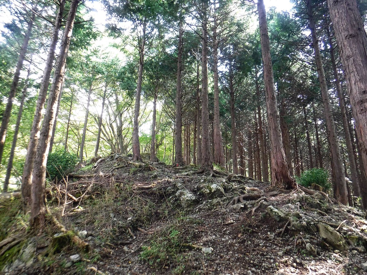 onerun888's tweet photo. 登山始めて10年たったのでスカウターを発動させてみる。 https://t.co/A2NwLMpGiQ