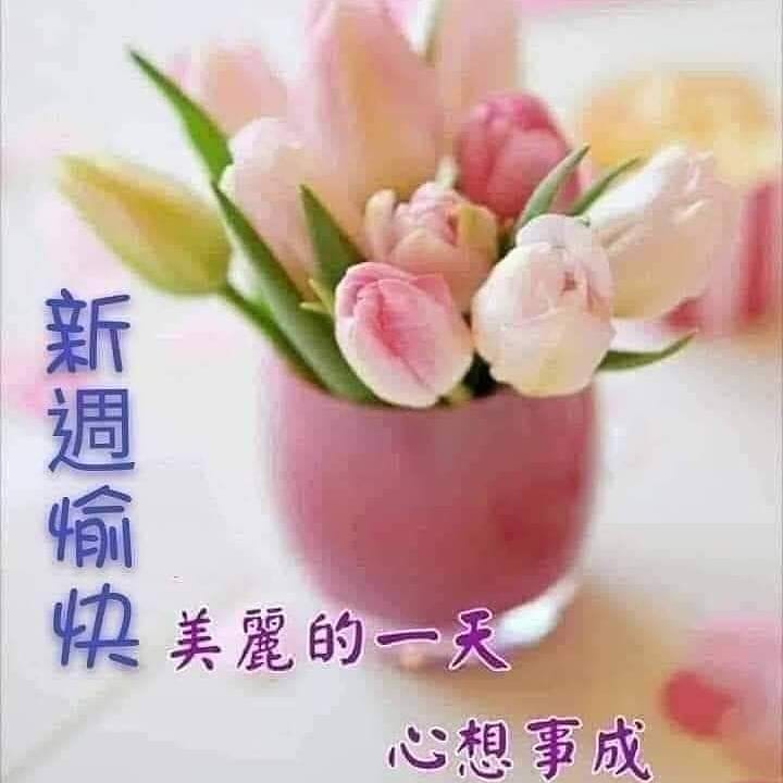 ming963037's tweet photo. 內心寧靜，才能處事是不驚，想法簡單，才可逍遙自在！
午安～愉快幸福喔 https://t.co/d8UqZfwXVt
