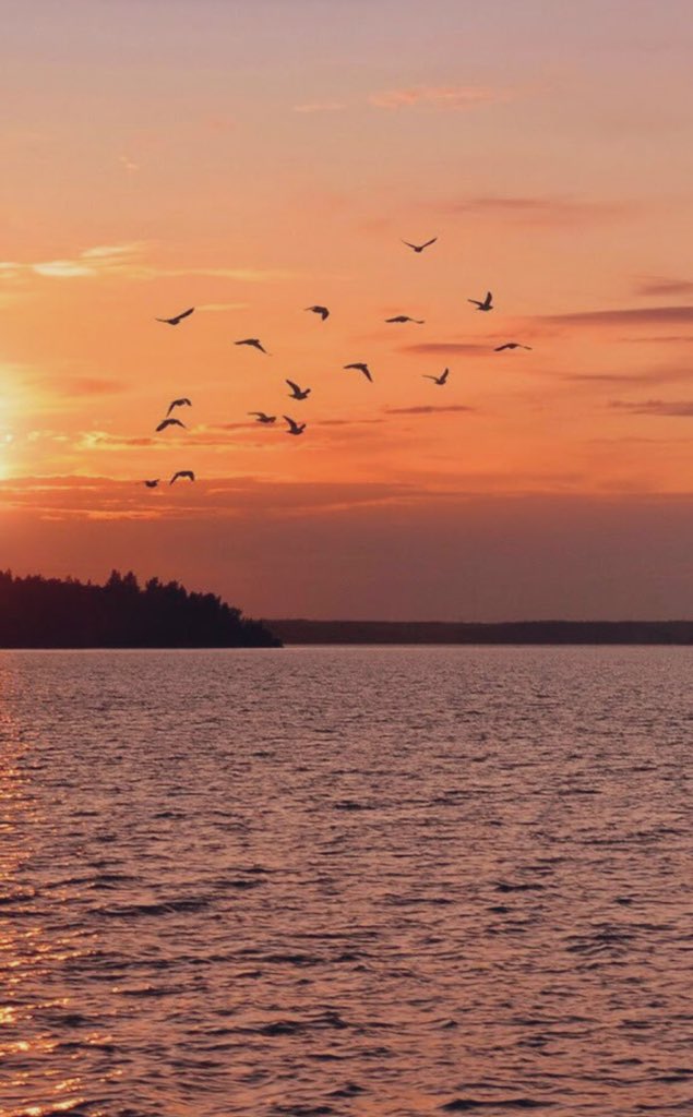 ♡ 

ربّنا أبعد عنّا ما يضرنا ، فأنت خيرُ
 من يُستودع بهِ وأنتٓ خيرُ الحافظين 

        🌹#صباح_الخير🌹