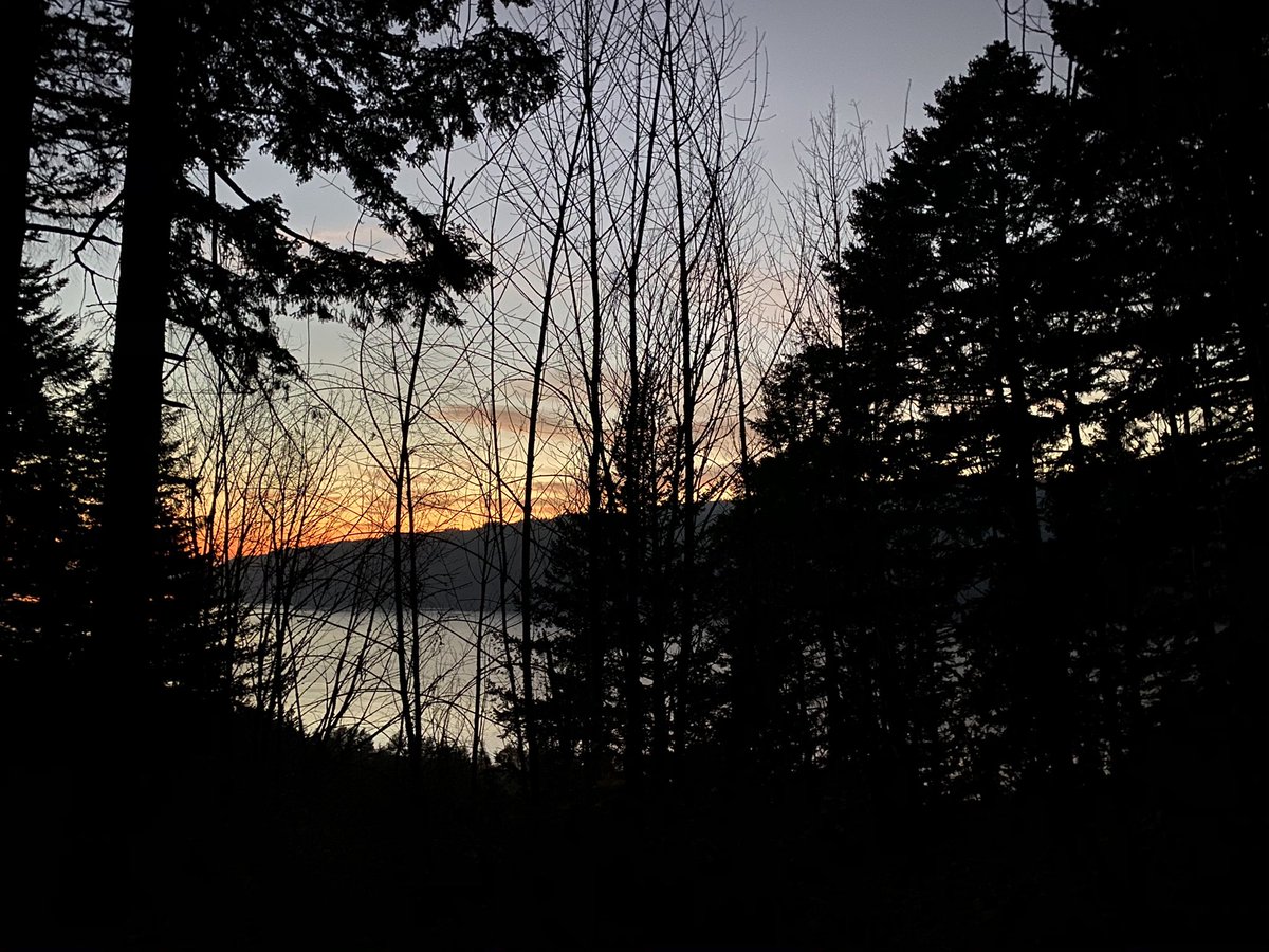 onbrandstacy's tweet photo. Went on a hike for golden hour and had the trip back down was spoopy as hell. 🤩🤩🤩 #angelsrest https://t.co/lINPA9N7T9