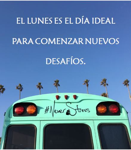 NumadApp's tweet image. ¡¡Feliz inicio de semana #numaders!! No os olvidéis de sonreír. 
#lunes #work #day #ON
