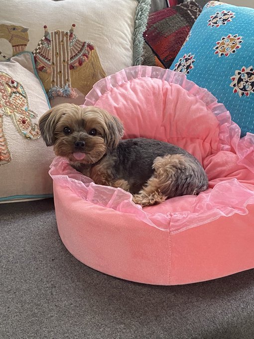 In case you were having a bad day 💕 https://t.co/cKyNbcpaPr<a href="/tag/inthetub"class="tags"><span>#inthetub</span></a>