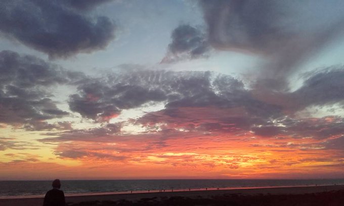 MarisaSeville's tweet image. Aunque ya nada pueda devolver la hora del esplendor en la hierba, la gloria en las flores, no hay que afligirse. Porque la belleza siempre subsiste en el recuerdo.
W. Wordsworth
We'll find in the sea