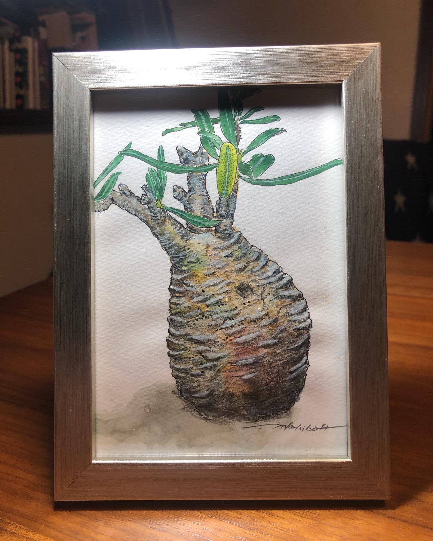 絵画 bizarre plants 絵画 bizarre plants Bizarre plants 'Live with bizarre plants