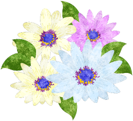 オステオスペルマムのtwitterイラスト検索結果 古い順 オステオスペルマムのtwitterイラスト検索結果 古い順