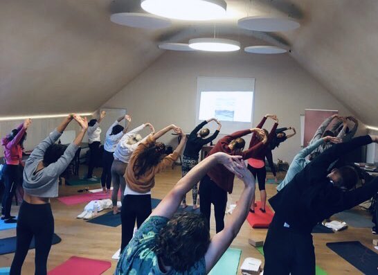 One week ago I had the privilege to teach this one-day course to a wonderful group of physios &amp; paramedics, interested in implementing yoga principles into neurorehabilitation. 

I feel truly grateful for this enriching exprience <a href="/physio/">myrnagbenderoff</a>.boost! #yogapractice #neurorehab