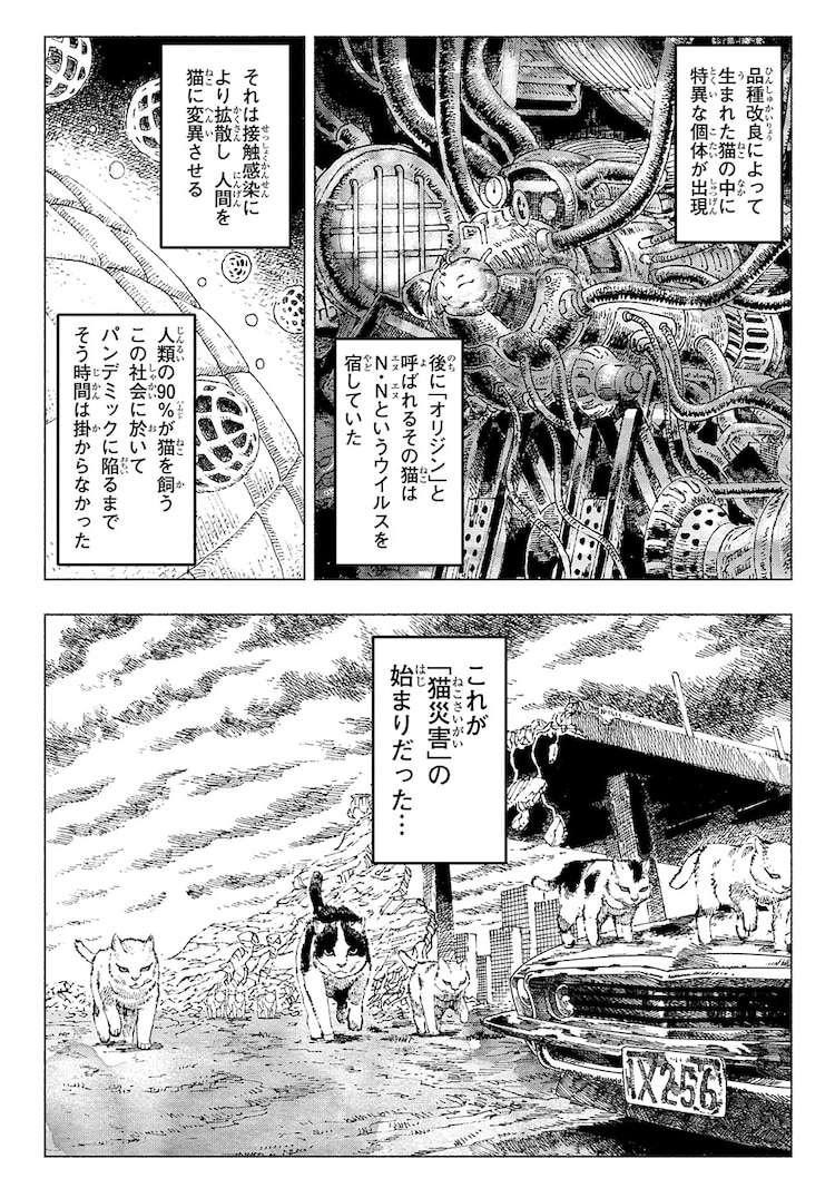 やばい漫画が始まってしまった 人間を猫に変えてしまうウイルスによりすべてが猫になってしまうパニックホラー作品が話題に Togetter