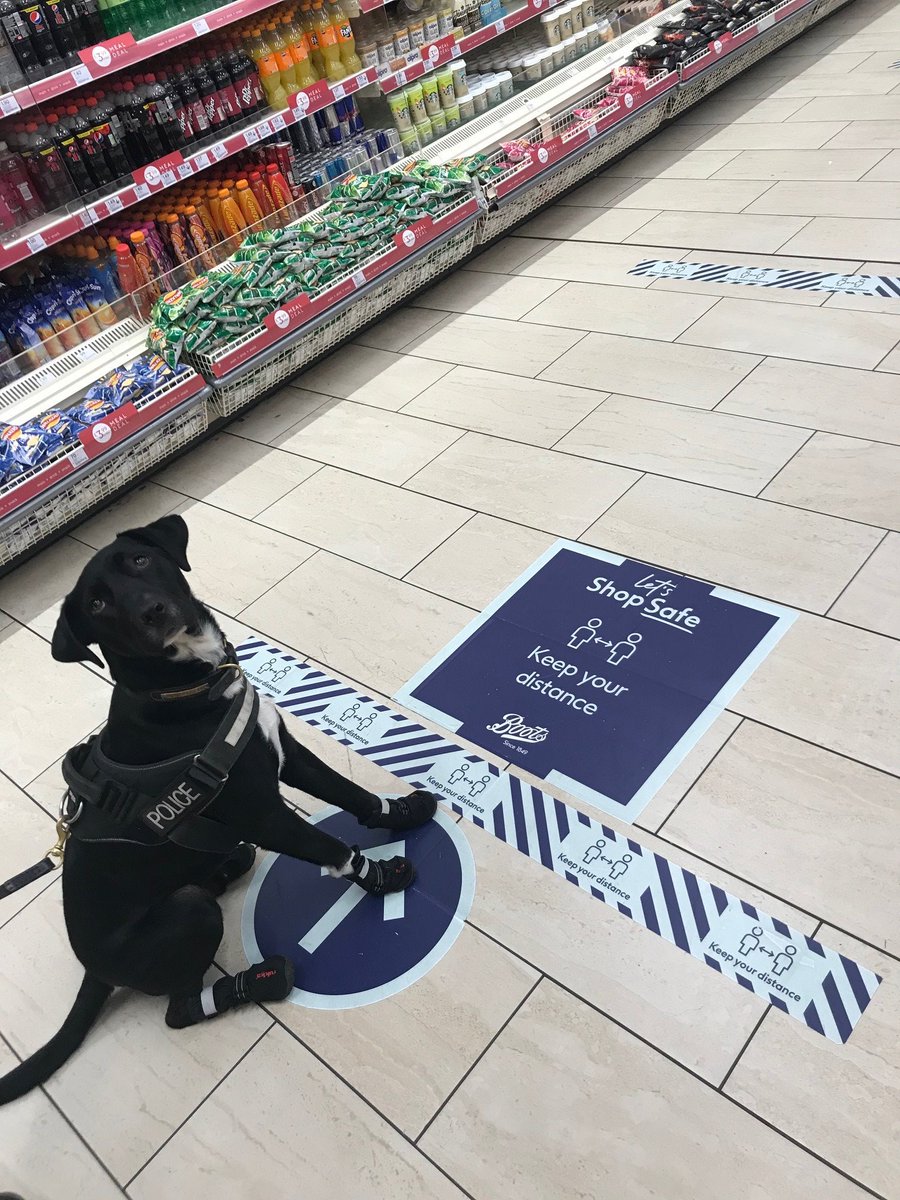 PD Boots in Boots in Boots!!

You may have previously seen #PDBoots on patrol at <a href="/STN_Airport/">London Stansted Airport</a>, maybe even #PDBoots in boots.  But have you ever seen #PDBoots, in boots, in <a href="/BootsUK/">Boots</a>?

One of the key factors of a #ProjectServator deployment is getting involved with the community.