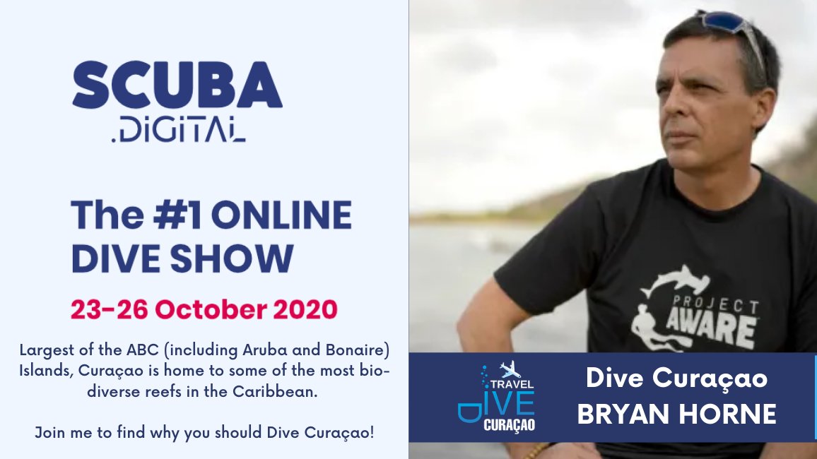 curacao_dive's tweet photo. Join Dive Travel Curaçao along the best #Curacao Dive Operators, Hotels, Resorts and Apartments at @ScubaDigital 2020, the #1 Online Dive Show👉learn more: https://t.co/hcoeoiLjl8 @CuracaoTravel #travel #news #scubadiving #Diving https://t.co/G1VdzUmBgN