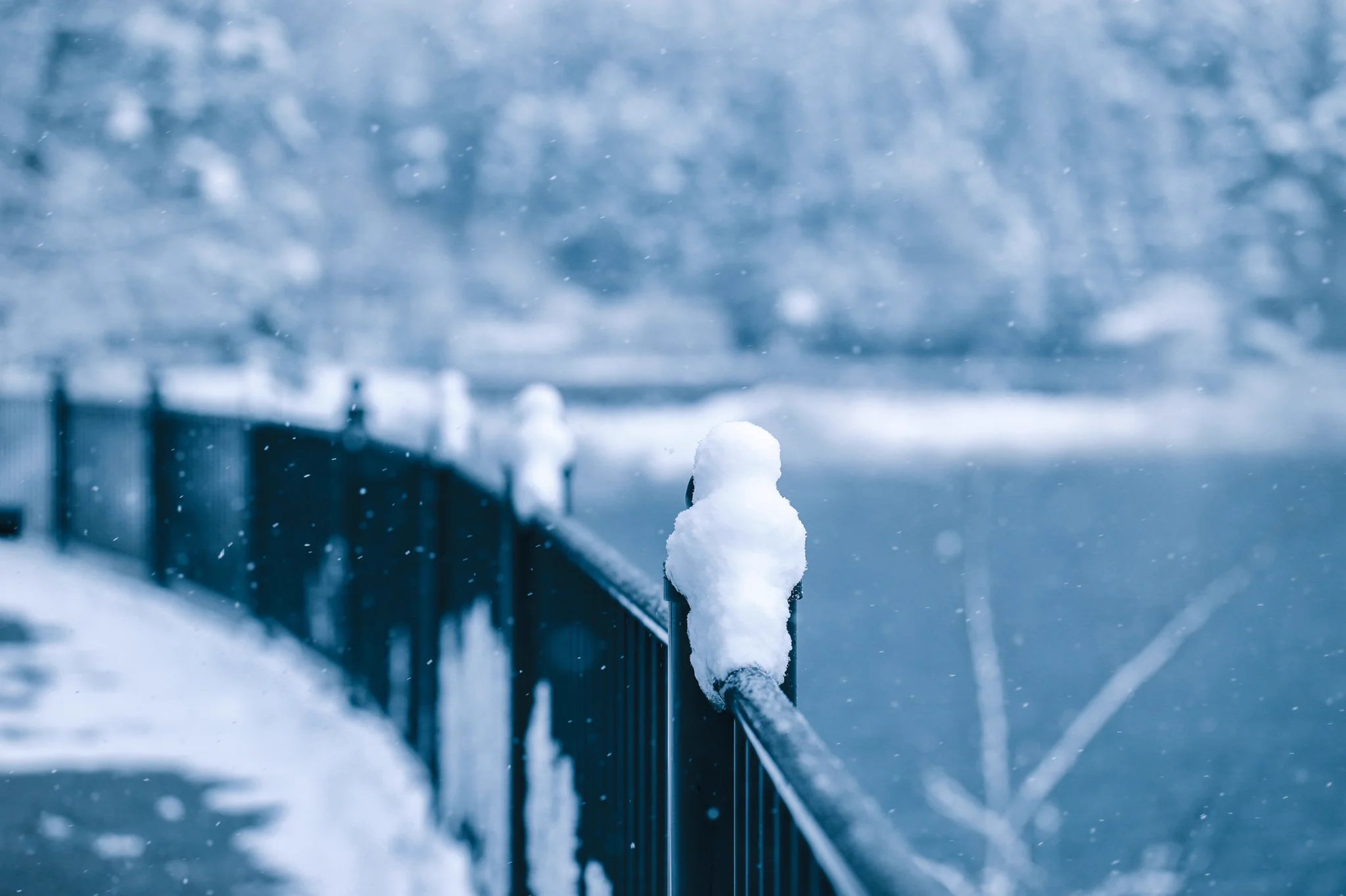 柵に積もった雪が？小さな怪獣にしか見えなくて可愛い！ｗｗ