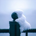 柵に積もった雪が？小さな怪獣にしか見えなくて可愛い!w