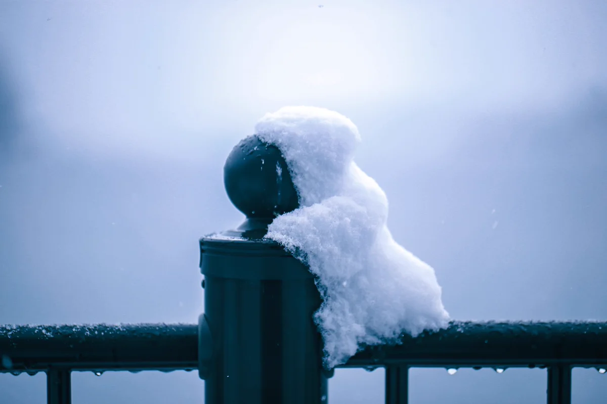 柵に積もった雪が？小さな怪獣にしか見えなくて可愛い！ｗｗ