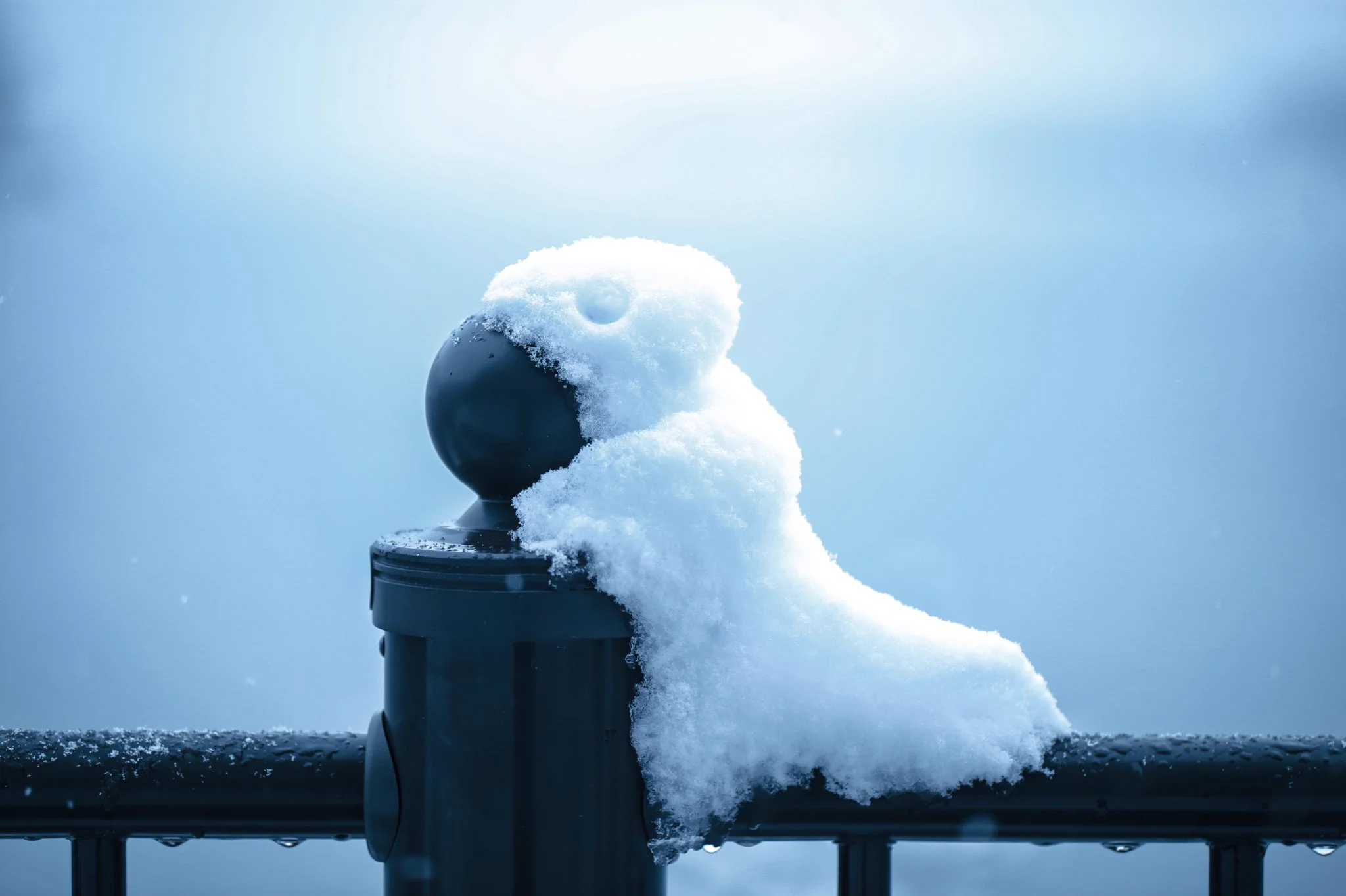 柵に積もった雪が？小さな怪獣にしか見えなくて可愛い！ｗｗ