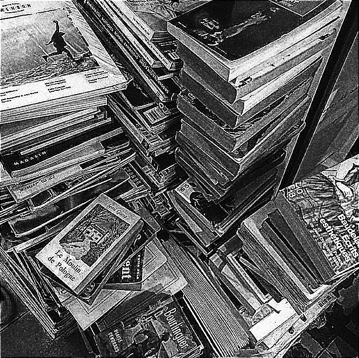 : - ₊  ﾟ𝕽od-𝕱ire°⁎  𖠵 02 , ลฟตท