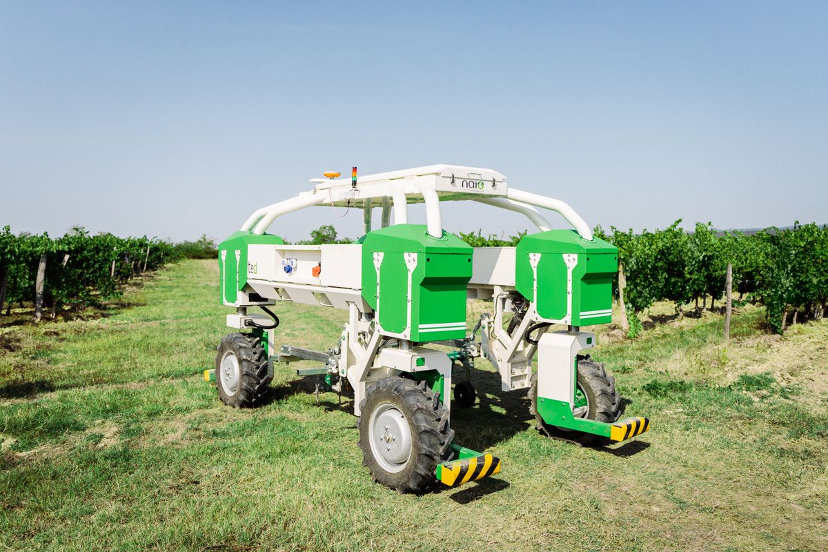🍇 ✍️ Nous l’annoncions la semaine dernière, voici la nouvelle version de Ted ! Ted est le robot 100% électrique de Naïo Technologies dédié au désherbage mécanique des vignes. Le communiqué de presse, c’est par ici 👉
#Ted #agtech #robotique bit.ly/2ESRLo2