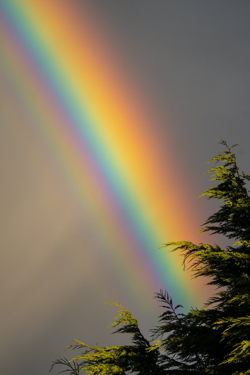 Did anyone see that rainbow in Glasgow this morning? Lasted for ages and one of the most intense ones I've ever seen. 'Slight' saturation adjustments in these images but wow!! #Glasgow #westendliving #glasgowlive