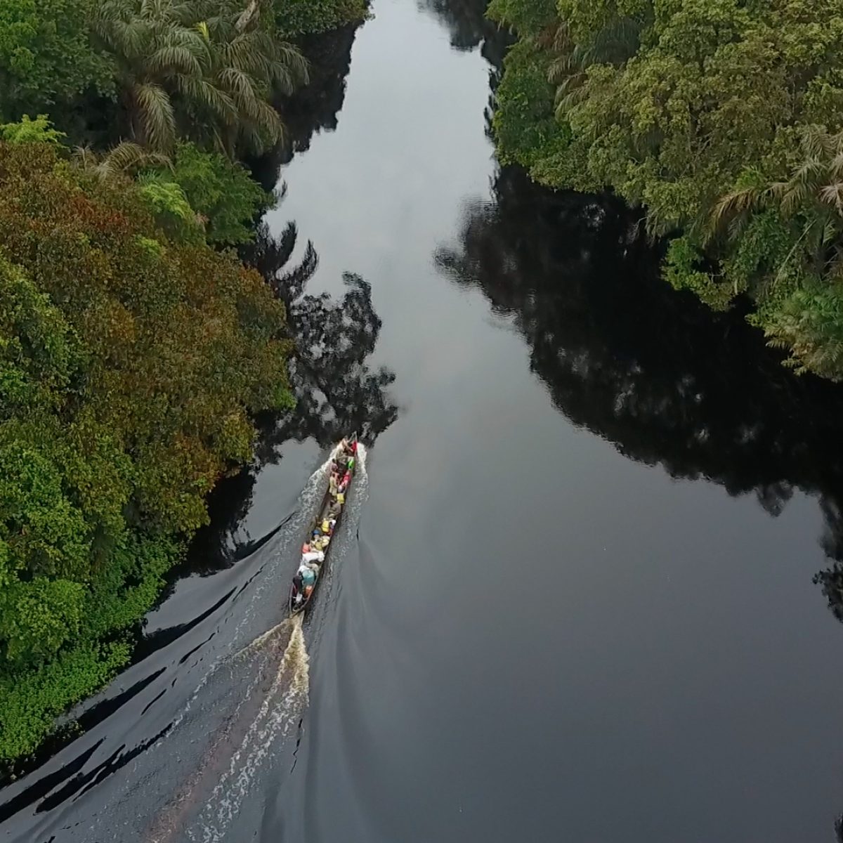 Конго что это река. Конго что это река. Конго что это река. Конго что это река. Конго заир река.