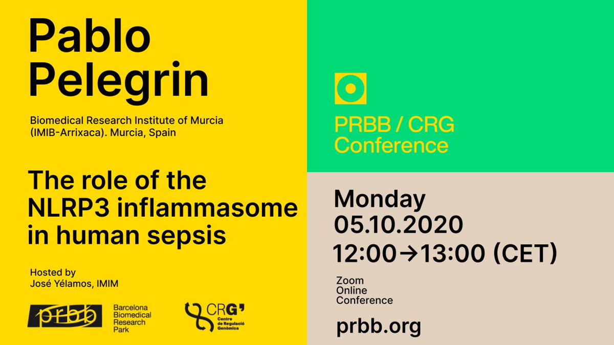 the_prbb's tweet photo. Today at 12pm do not miss @PelegrinPablo 's online
#PRBBtalk . He will be joining us from @IMIB_Arrixaca to talk about "The role of the NLRP3 inflammasome in human sepsis" 👉🏾👉🏾👉🏾 You can still join us on zoom! https://t.co/oKtOtjGONR https://t.co/riZF8CLCtH