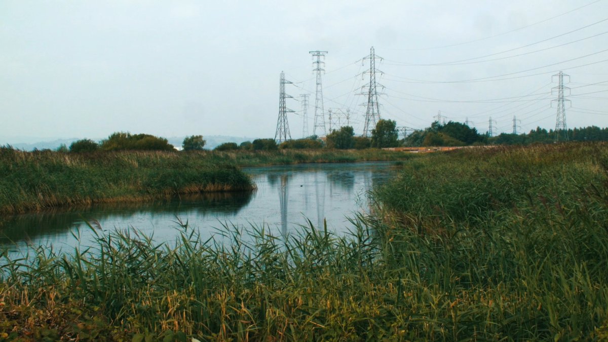 THREADThe UK Government's Plan to Bulldoze the Gwent Level...The Gwent Levels are a vast expanse of wetlands situated on the banks of the Hafren between Caerdydd and Casnewydd.