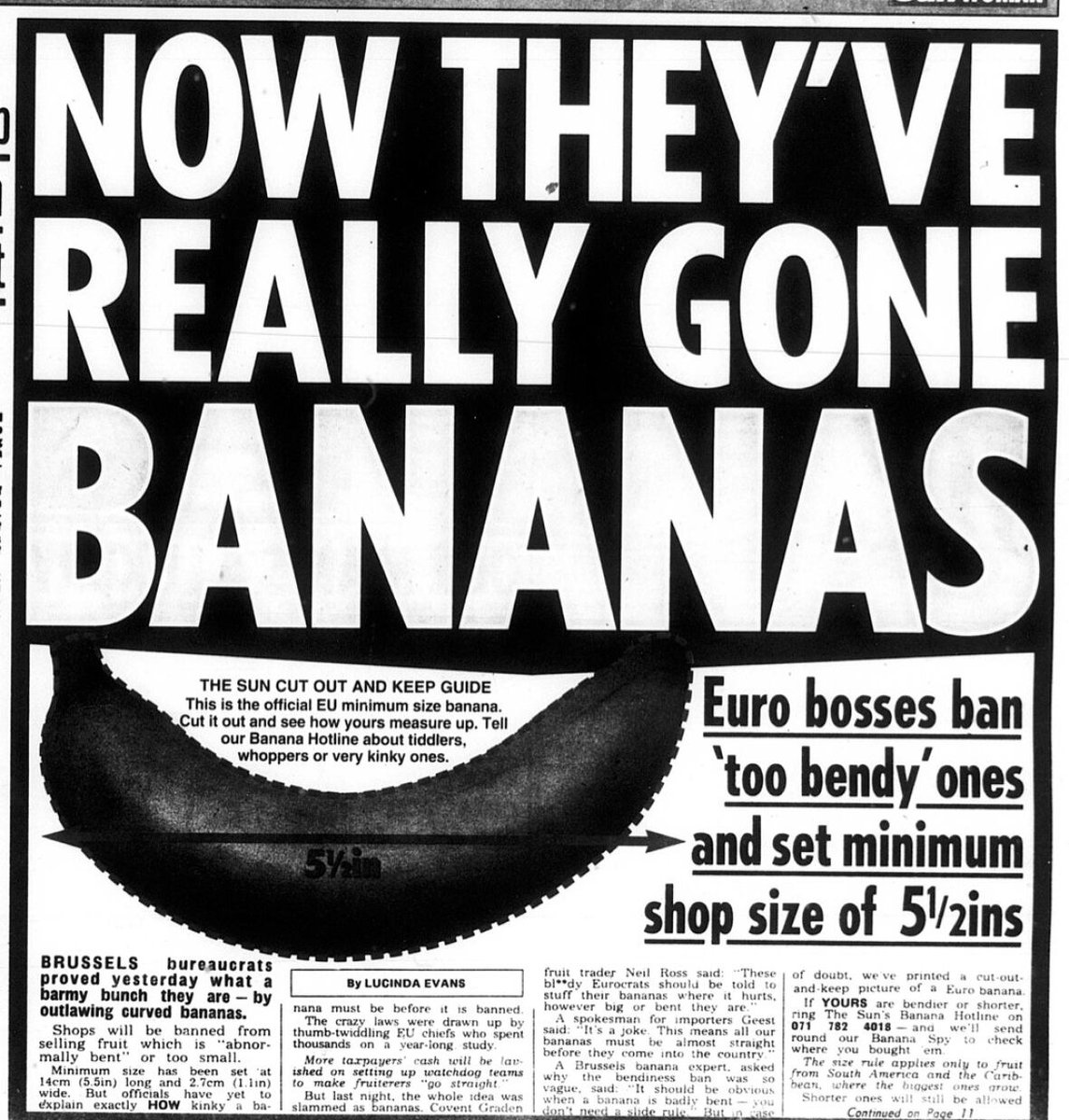 26 years ago, The Sun splashed this headline, which turned into one of the arch-myth of Brexiteers - the idea that 'bonkers bureaucrats' in Brussels banned bendy bananas. [Thread]