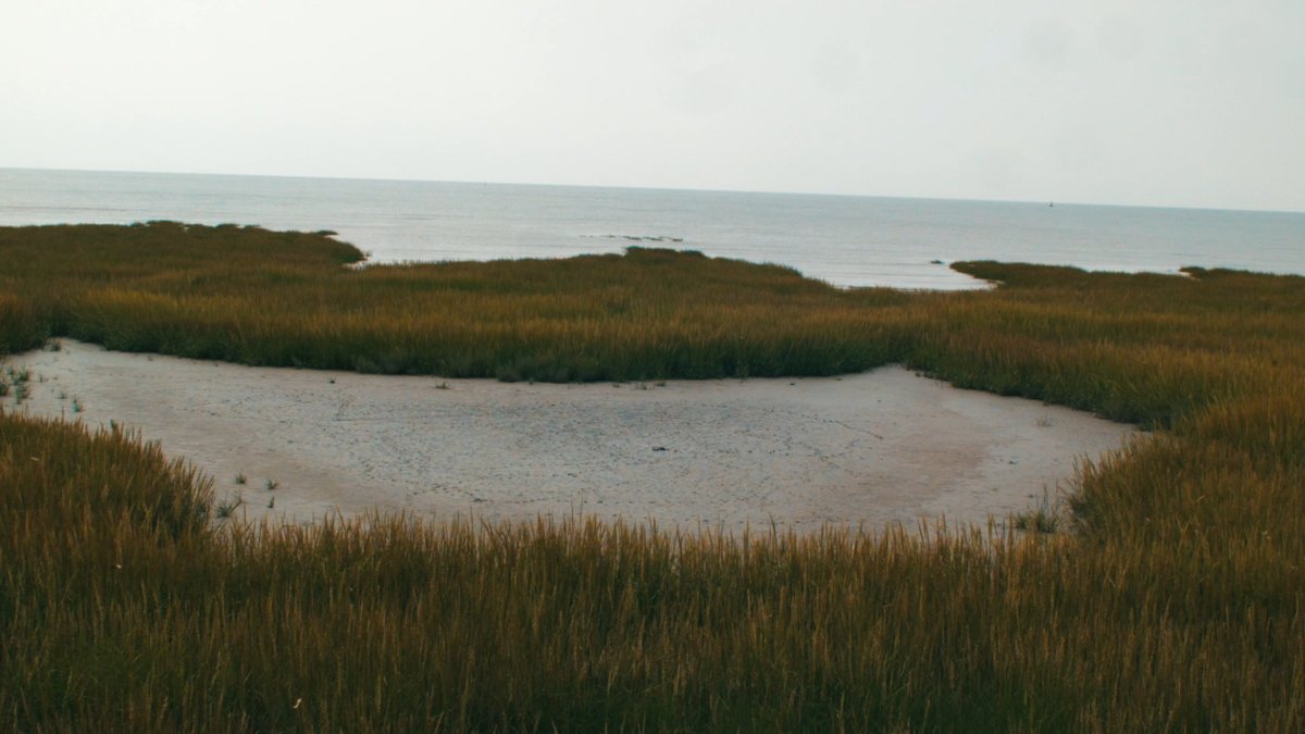 These 'reens' form part of a complex drainage system, which carries run-off from fields into tidal creeks known as pills. The water is then released at intervals into the Hafren.