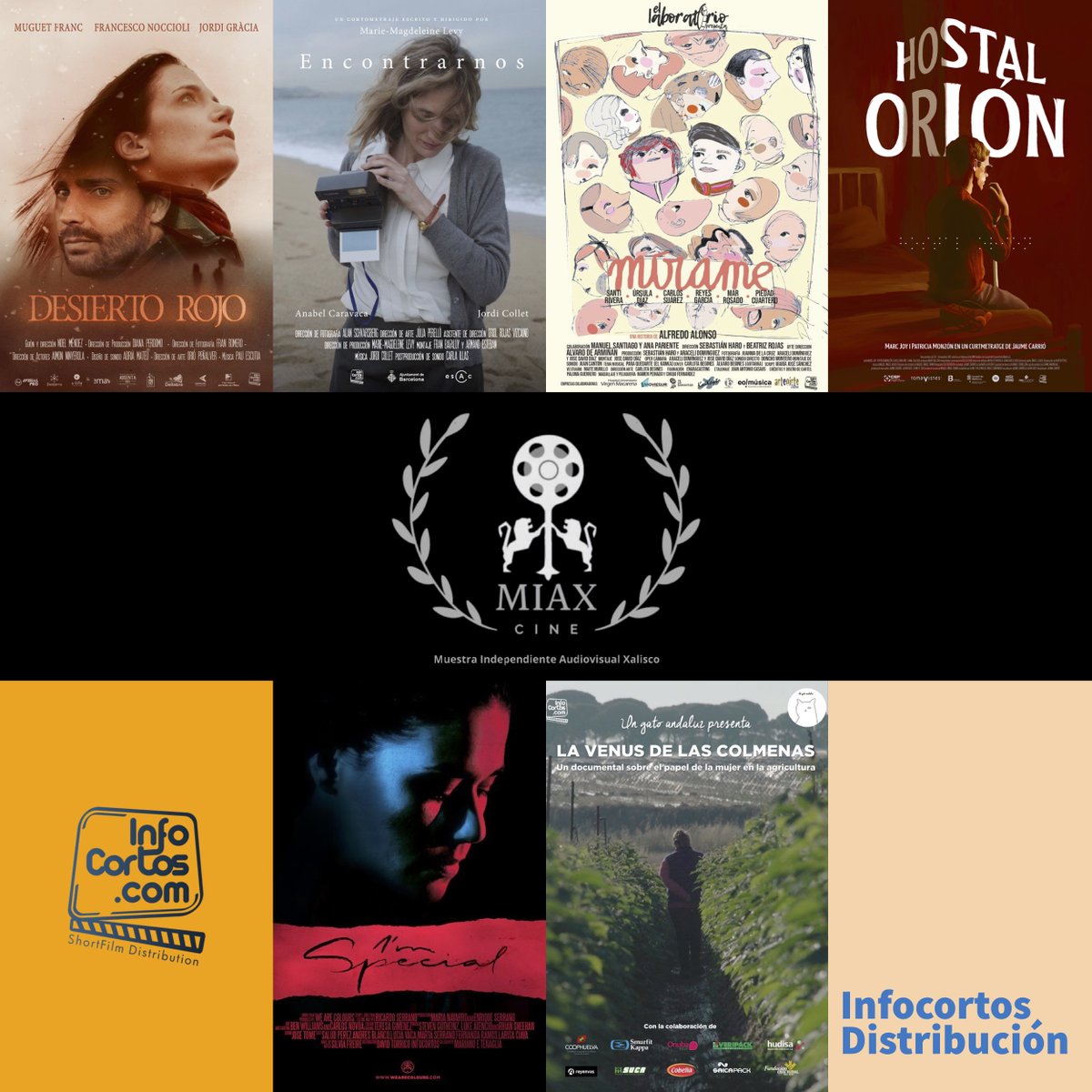 Nuevas selecciones para cortometrajes de nuestro catálogo. Todos estos cortos viajan para México!!! 💪🏽💪🏽🔝🔝