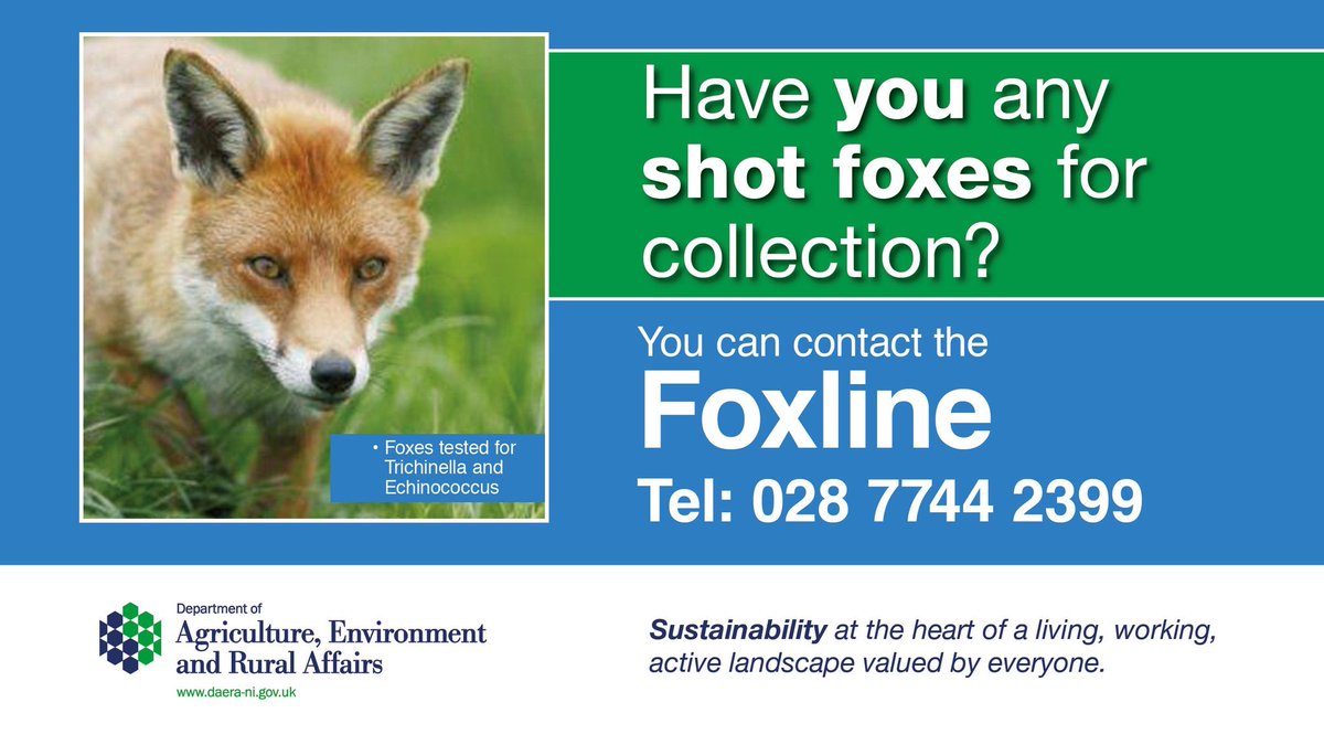 Badgerline is a dedicated line for the reporting of dead badgers &amp; foxes. The animal will be collected &amp; if suitable tested for the presence of bovine TB &amp; other diseases. Report by phoning 028 7744 2399 or email rtabadger@daera-ni.gov.uk We cannot accept reports via social media