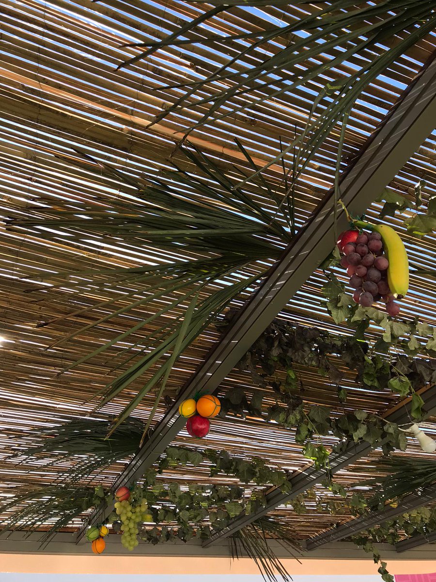 meis_museum's tweet photo. La Festa del Libro Ebraico inizia domani. Intanto fervono i preparativi per decorare la #sukkah che ospiterà gli incontri. Seguiteci e condividete con l'hashtag #FLE2020 #MEIS https://t.co/3pmgofb4yg