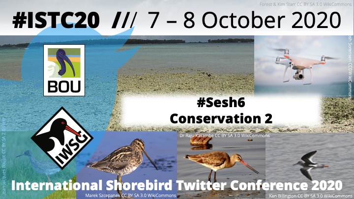 Thanks to all the #Sesh5 presenters at #ISTC20 @fkondras @eveconnection
@Gangelozzib @JoaCastle
 @giholmes91 @IBCPbirds @Ccanutus. Up next is #Sesh6 
'Conservation 2' #Shorebirds #Waders #Ornithology