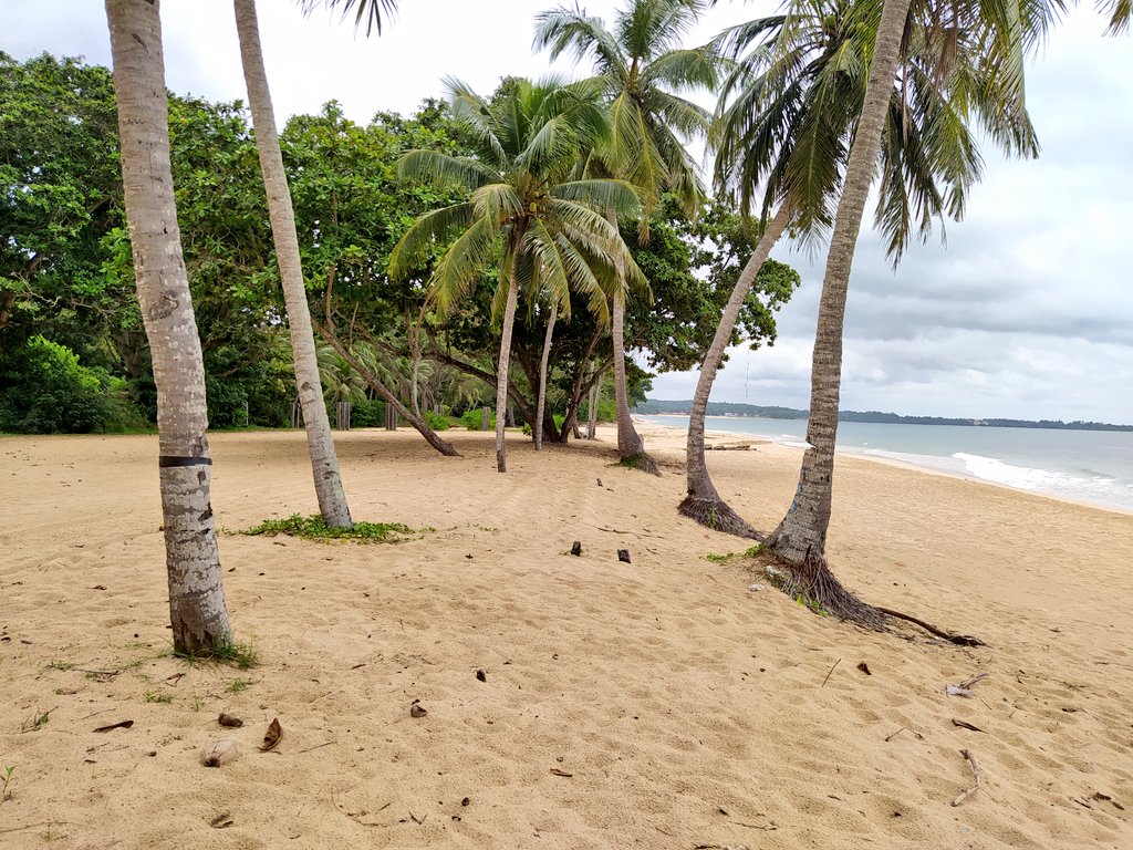 Mohd Hafizee On Twitter Beach Walking In Desaru Beach And You Can Pass By And See Lots Of Sea Front Resorts And It S A Good Experience For Sunrise Viewing Https T Co Kzxxst5sxd