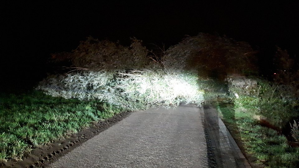Politie vindt omgezaagde boom op weg: 'Levensgevaarlijk':..