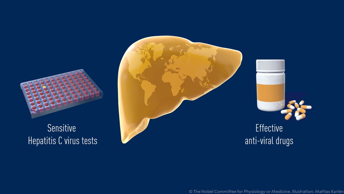 For the first time in history, the Hepatitis C virus can now be cured. The 2020 Medicine Laureates’ discoveries revealed the cause of the remaining cases of chronic hepatitis and made possible blood tests and new medicines that have saved millions of lives.

#NobelPrize