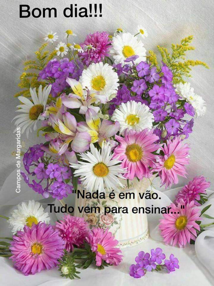 Tuit / Twitter Tuit / Twitter
