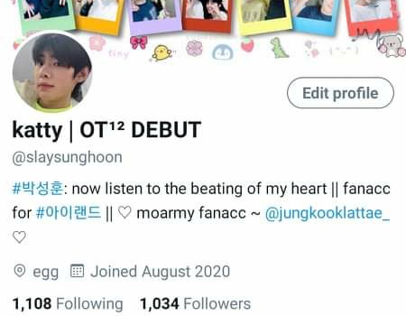 [ august 2020 ]aaaaa i forgot to screenshot my first layout and this is the only copy i have:((