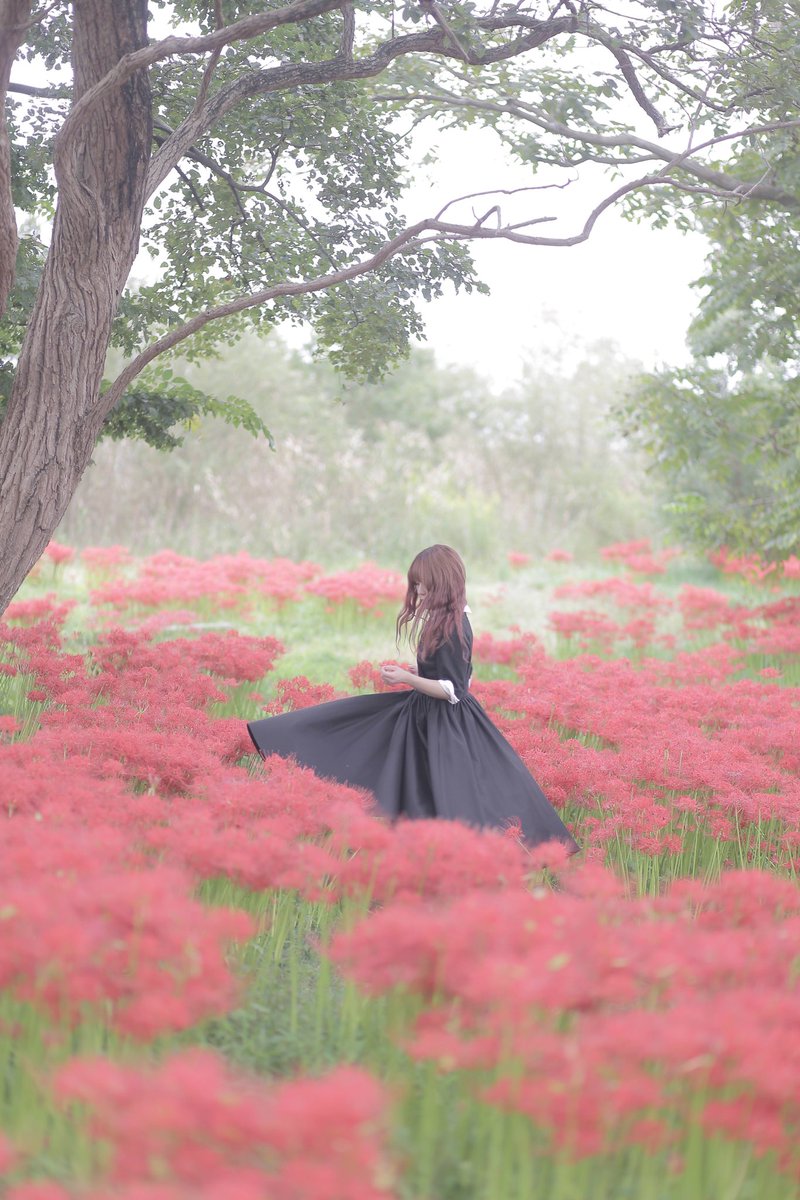 kid_mania621's tweet photo. โ๐๐๐ ๐ ๐๐๐๐๐ ๐๐๐๐ฆโ
photo / 774ๆฐ (@774_photo )
model / ใฏใใฟใ(@kid_mania621 )
ๆใซๆใฃใฆใๅฝผๅฒธ่ฑใฏ
่ฝใกใฆใใ่ฑใ้ใใใใฎใ
็งใฎfoufou THE DRESS # 22
ๆ้ซใฎใใใฅใผๆฅใงใใ
#foufou #thedrees #teshioni
#redspiderlily #ๅฝผๅฒธ่ฑ
#ใใผใใฌใผใใขใใซ https://t.co/FG63onRKT4