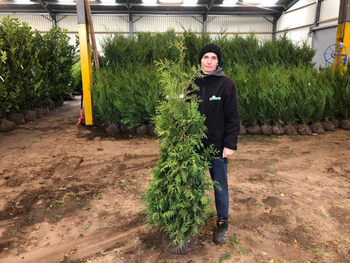 Grasslands Nursery tweet media