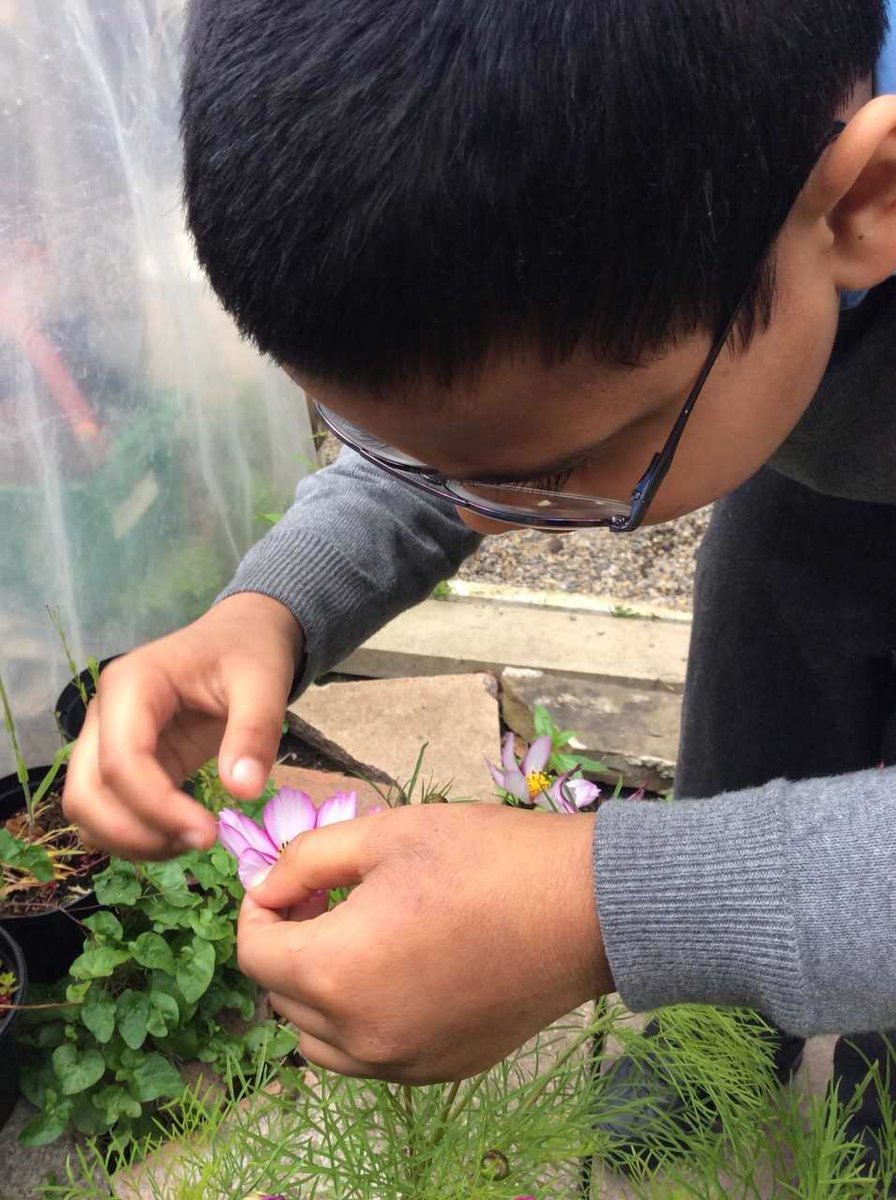Abyan is our Young School Gardener of the Year ⭐️ @RHSSchools - well done indeed! <a href="/The_RHS/">The RHS</a> <a href="/DrJohnAPatters1/">Dr. John A Patterson</a> <a href="/ssin4change/">Sustainable Schools International Network</a> <a href="/JourneyofHope9/">Journey of Hope</a> <a href="/FOSPLiverpool/">Friends Of Springfield Park</a> <a href="/CllrBMurray/">Barbara Murray 🌹</a> <a href="/davidstvin/">D Swanston</a> <a href="/Alicep1975/">Alice</a> <a href="/OutdoorClassUKI/">Outdoor Classroom Day UK & Ireland</a> @RHSBloom
