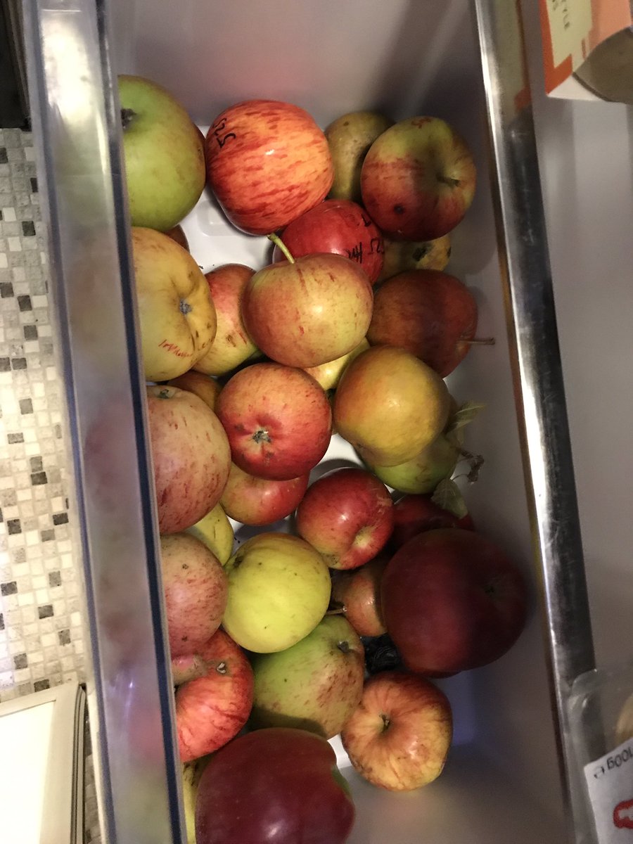 I had a little ID marathon yesterday as I have amassed a ridiculous amount of apples over the last few weeks, and really need to sort them out.This is but a small selection of them 