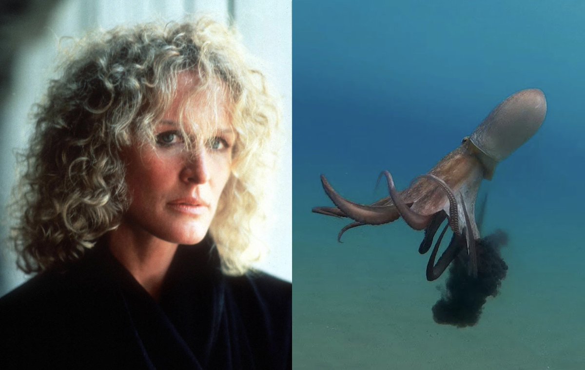 Glenn Close was originally considered to play the role of Octopussy, due to her unparalleled ability to camouflage her skin and secrete venomous ink.