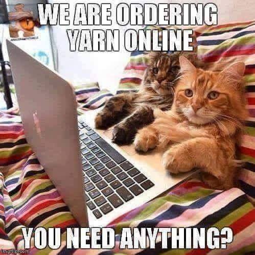 knit_pro's tweet image. A great way to support your local yarn shop - just don't let the cat choose