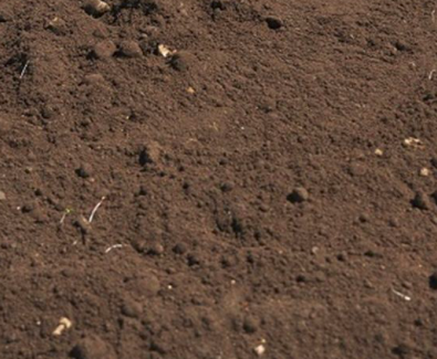 BASH Grab Hire tweet media