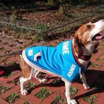 ツイートに含まれる画像