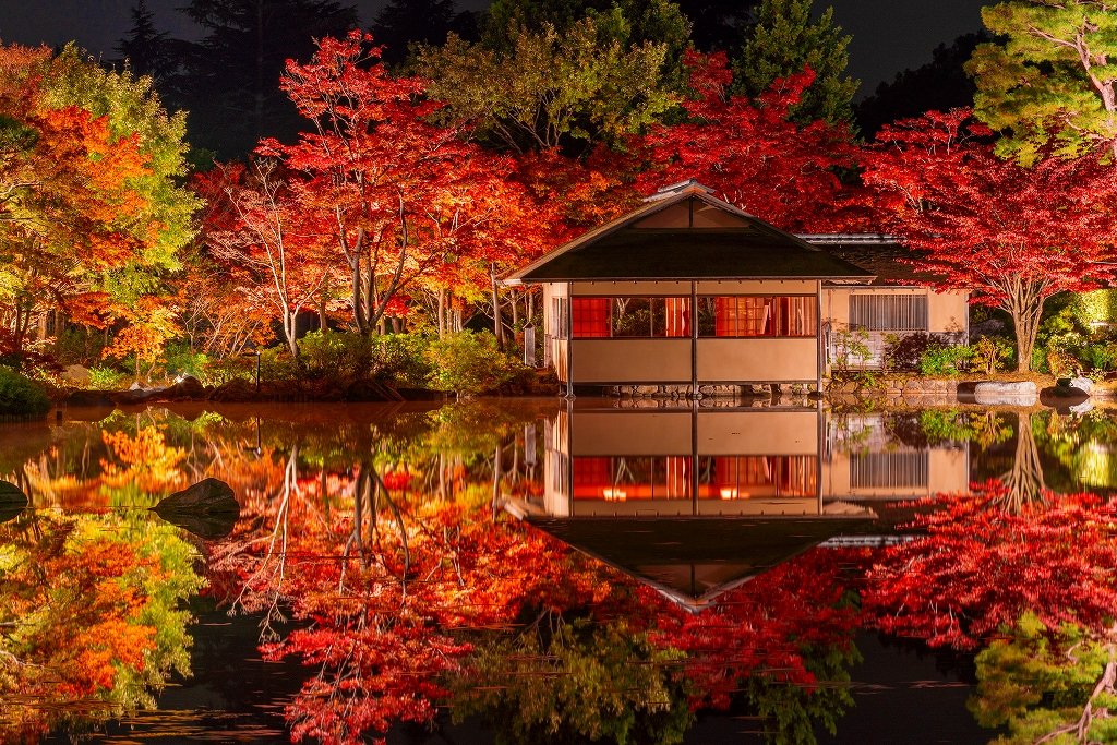 国営昭和記念公園 国営昭和記念公園では11 3 11 29の期間で 黄葉紅葉 まつり と 秋の夜散歩 を開催いたします ここでしか味わえない特別な秋を満喫してください 詳細は公園公式hpをご覧ください T Co Cfqnf5kd21 撮影 Yukihito Ono氏 国営昭和記念公園 国営昭和記念公園では11 3 11 29の期間で 黄葉紅葉 まつり と 秋の夜散歩 を開催いたします ここでしか味わえない特別な秋を満喫してください 詳細は公園公式hpをご覧ください T Co Cfqnf5kd21 撮影 Yukihito Ono氏