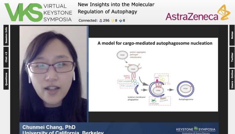 Chunmei (<a href="/changxiaomi/">chunmeichang</a>) from our lab presents her latest work w/ <a href="/DoroteaArt/">Dorotea Fracchiolla_Art&Science</a> from @martens_sascha lab at #VKSautophagy21