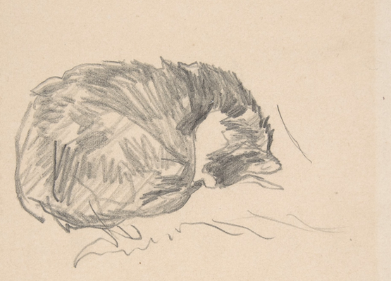 I didn’t cry as much as I should have
because I thought the sadness in the house
was for someone else.

Don't miss "There Will Be More (Time to Learn) by <a href="/arubertino/">AleXis RubertinO</a> in Issue 5.

roadrunner.lasierra.edu/there-will-be-…